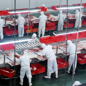 Fachkräfte in der Lebensmittelproduktion Fleischproduktion